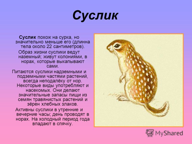 Внеклассное чтение 4 класс ответы