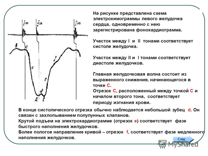 Скачать Старт Проф Бесплатно