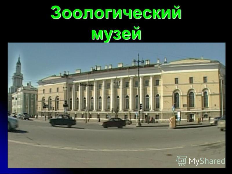 Доклад по теме Зоологический музей