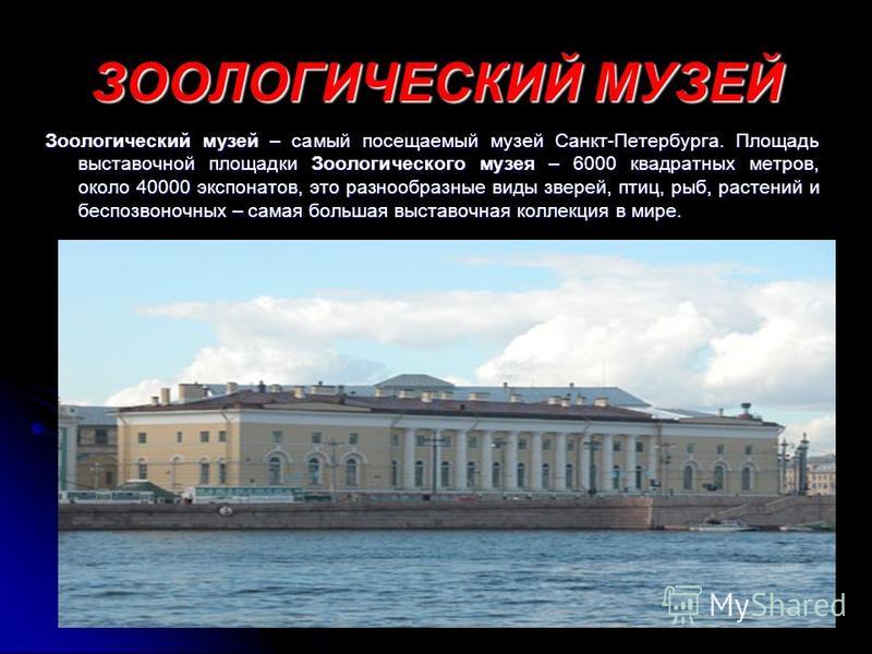 Доклад по теме Зоологический музей