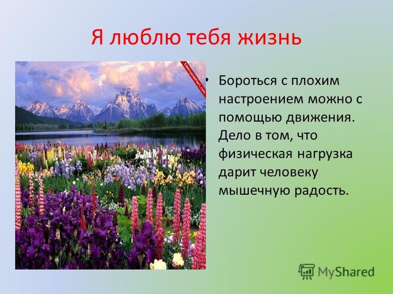 Чертеж деревянных скамеек своими руками 843