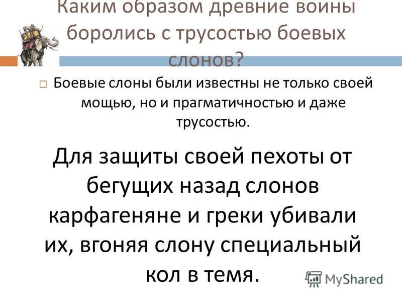С чем связана трусость С чем связана трусость