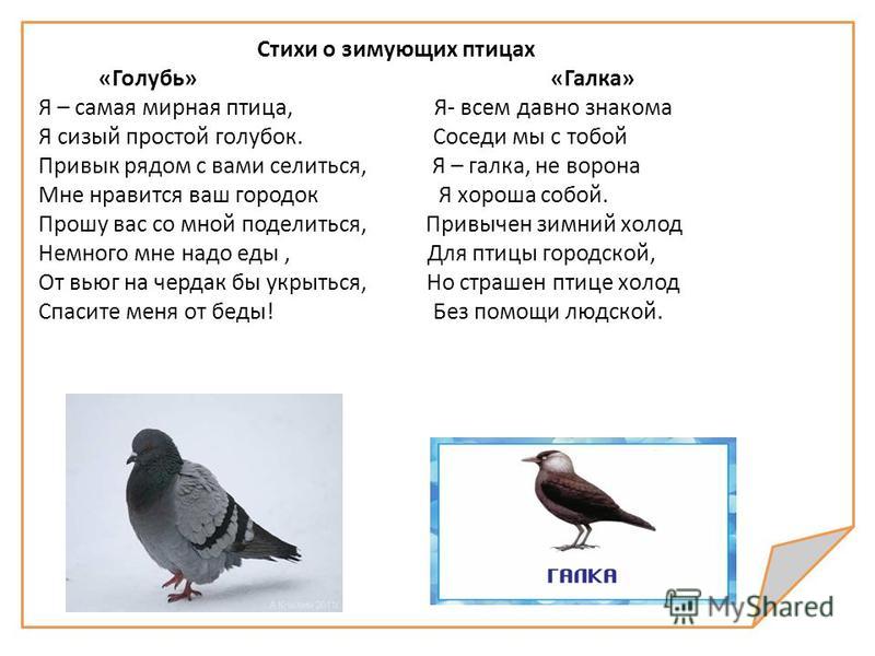 Стих о голубках Стих о голубках