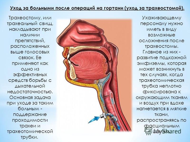 Картинки красивых девочек блондинок 15 лет Какие цветы должны быть дома. Самые полезные комнатные