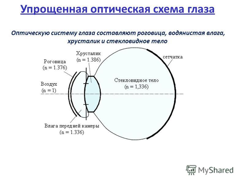 Оптические структуры глаза последовательность