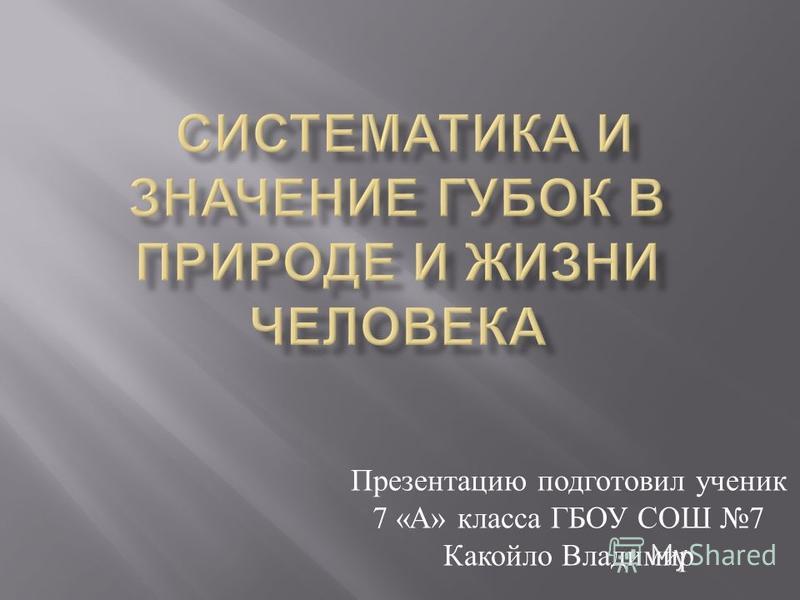 презентация губки 7 класс скачать