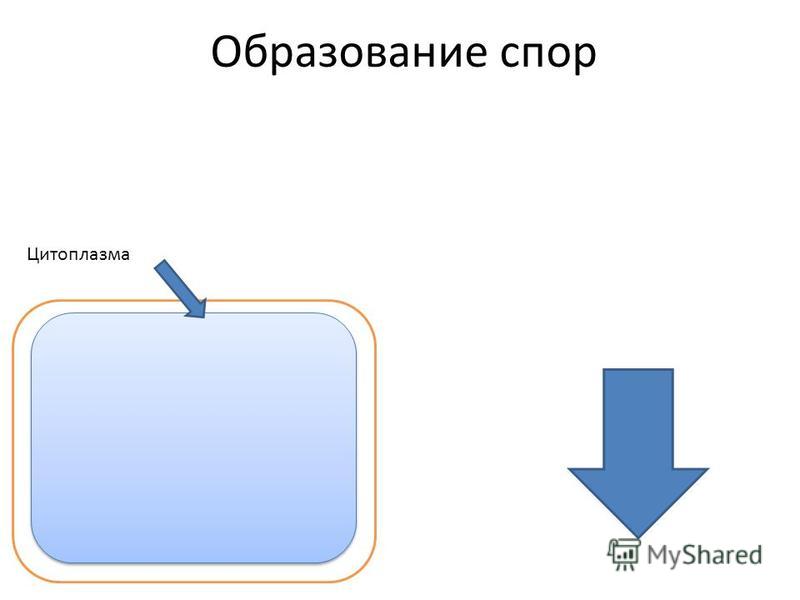 одноклеточные паразиты в теле человека одноклеточные паразиты в теле человека
