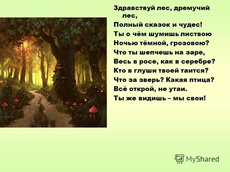 Сценарий лес чудес Сценарий лес чудес