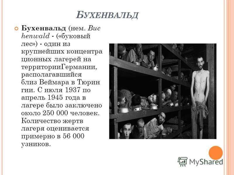 "Искра жизни" Эриха Марии Ремарка, обзор на книгу. Овчарка, золотая коронка и во
