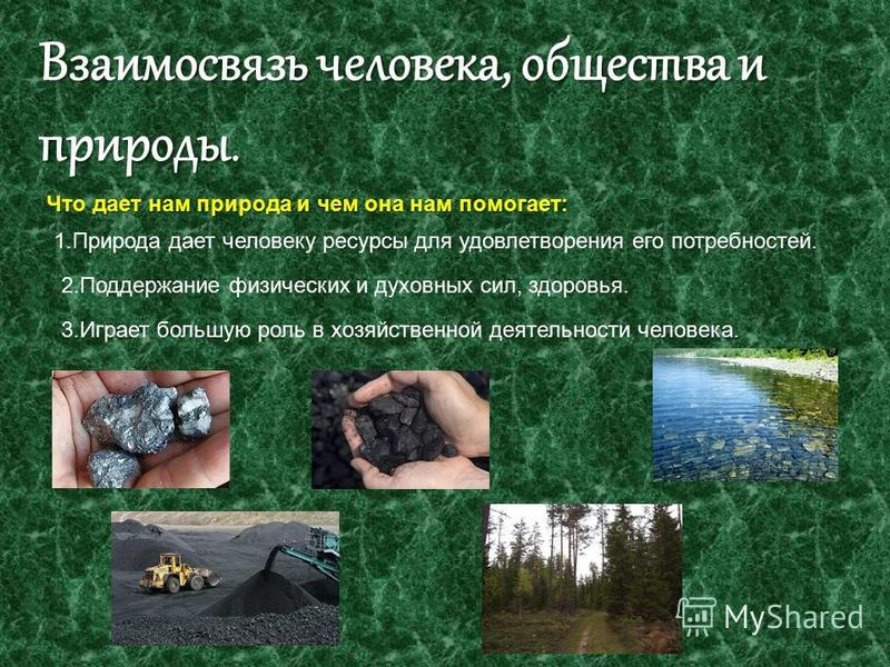 Реферат Биосфера Как Среда Обитания Человека Реферат Биосфера Как Среда Обитания Человека