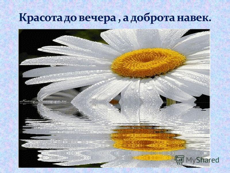 Пословицы на тему помощь людям Пословицы на тему помощь людям