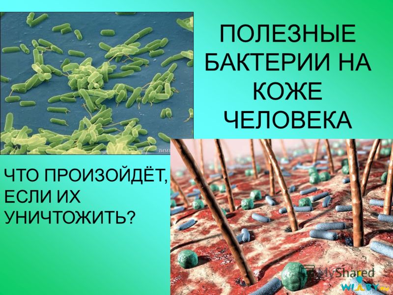 как убрать ужасный запах изо рта как убрать ужасный запах изо рта