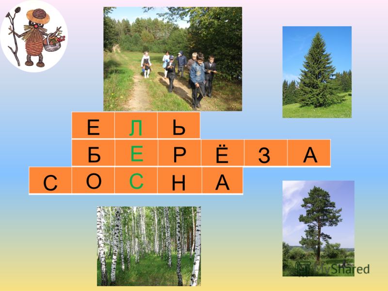 История беларуси 7 класс читать