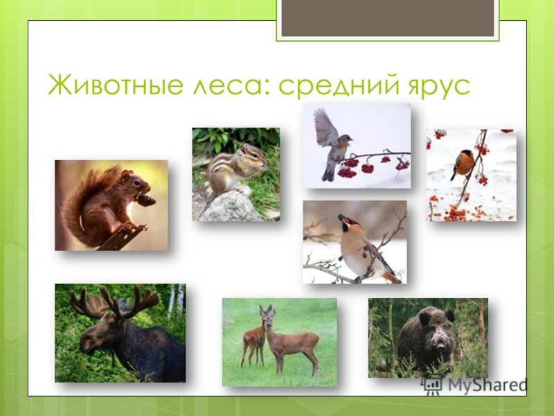 Как сделать титульный лист сообщение Как сделать титульный лист сообщение