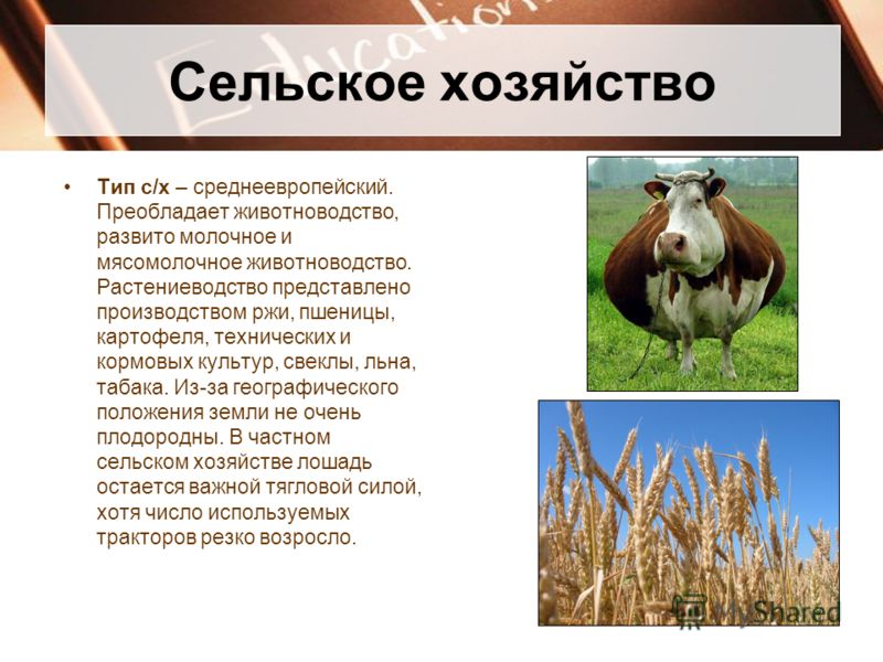 Сельское хозяйство Тип с/х – среднеевропейский. Преобладает животноводство, развито молочное и мясомолочное животноводство. Растениеводство представле