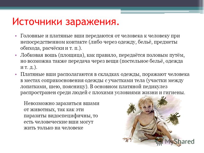 паразиты в человеке симптомы и лечение лекарства паразиты в человеке симптомы и лечение лекарства