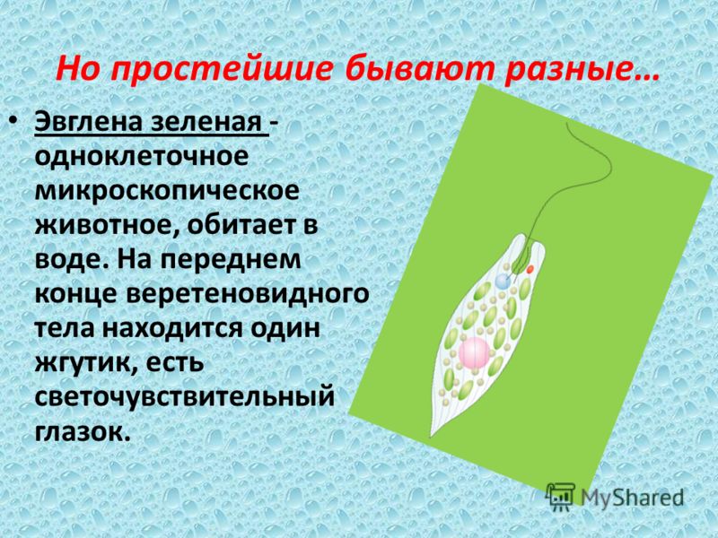 запах ацетона изо рта у младенца запах ацетона изо рта у младенца
