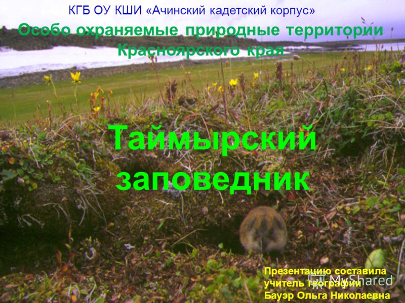 Презентация особо охраняемые природные территории красноярского края