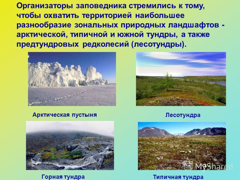 Оригами На Половину Прав, На Полпути Отсюда скачать песню бесплатно Опасный поцелуй? Передаётся ли ВИЧ через поцелуй