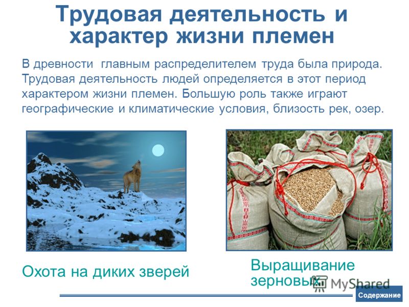 Трудовая деятель
		<!--