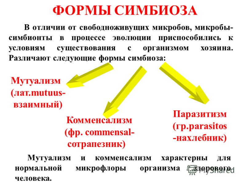 Temu