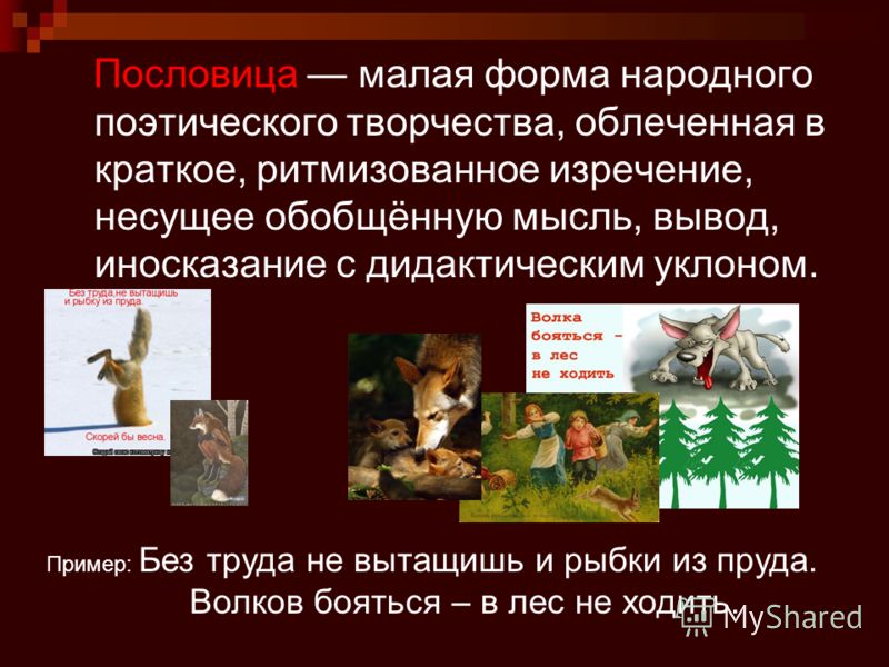 Прямой как пословица Прямой как пословица