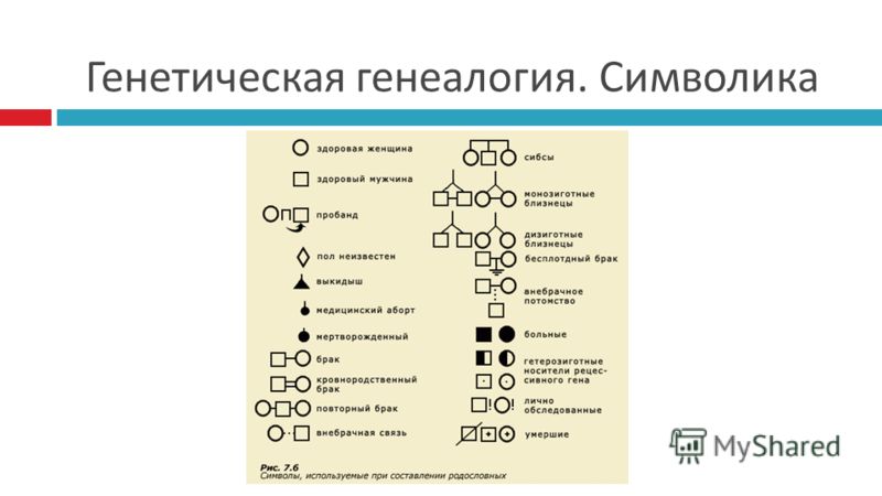 Наследование цвета волос у человека 154