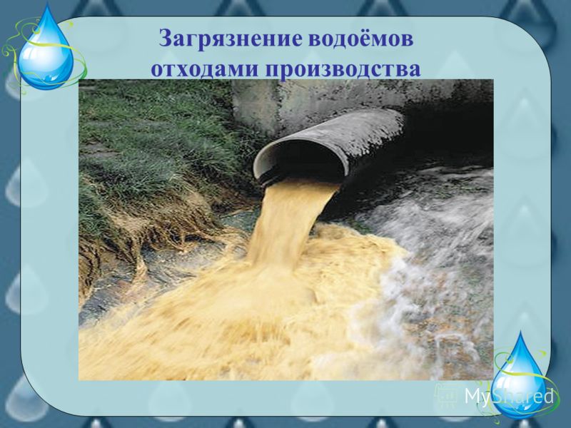 Программа предпрофильной подготовки 9 класс