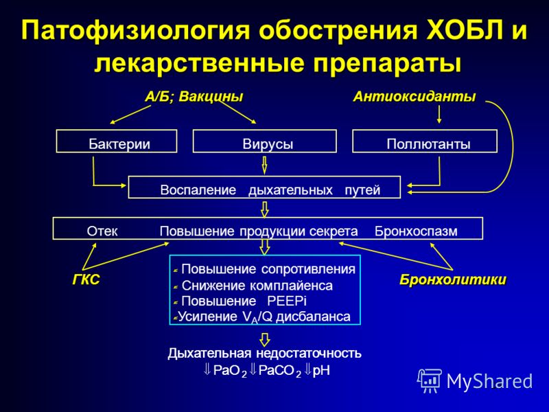 Вирусы И Бактерии Презентация Вирусы И Бактерии Презентация