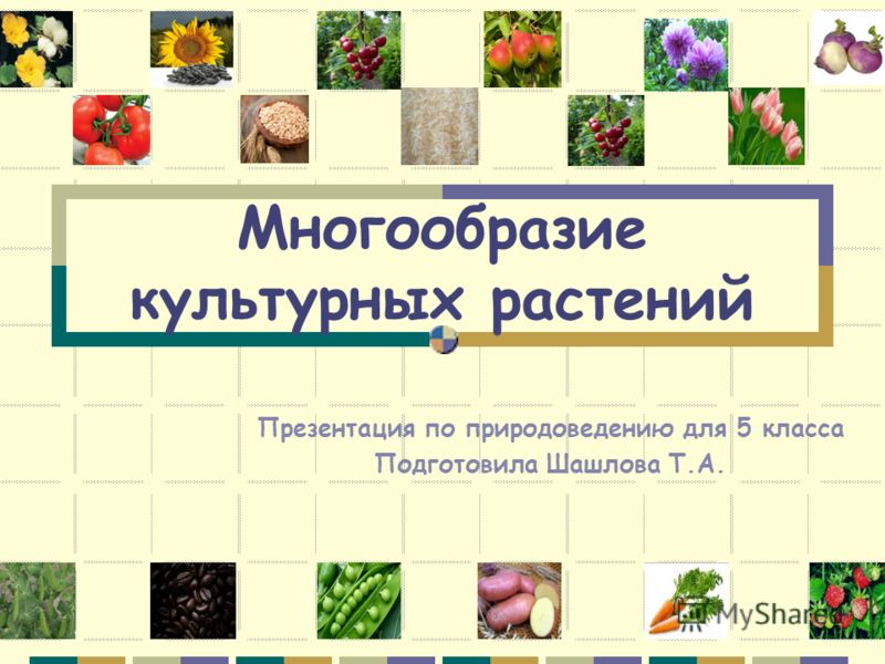 скачать презентацию по природоведению