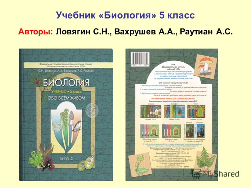 Гдз 8 Класса по Английскому языку Автор Кауфман
