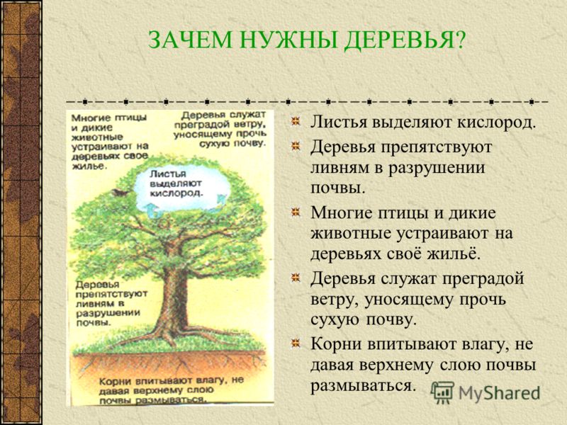 Манга мастера меча онлайн читать все тома