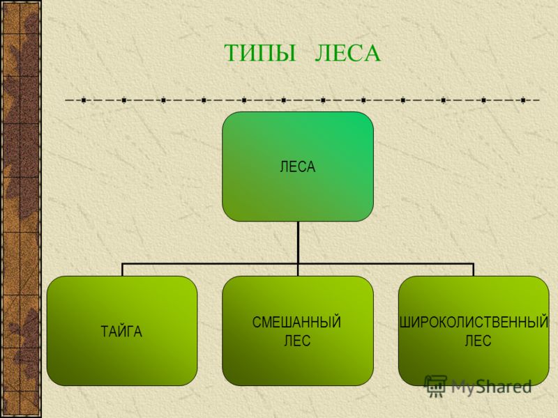 презентации к учебнику мордковича 5 класс презентации к учебнику мордковича 5 класс