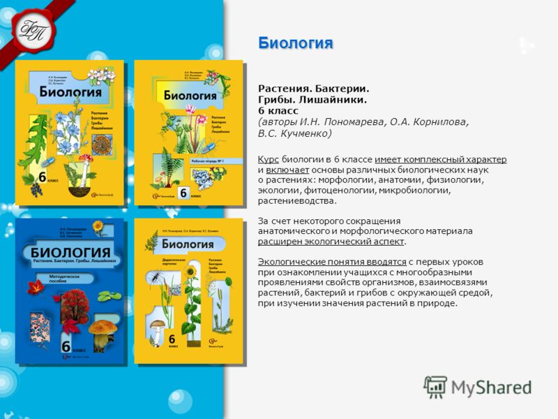 ebook руководство пользователя