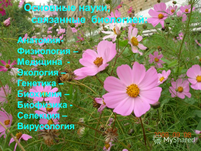 Биология 6 класс кратко