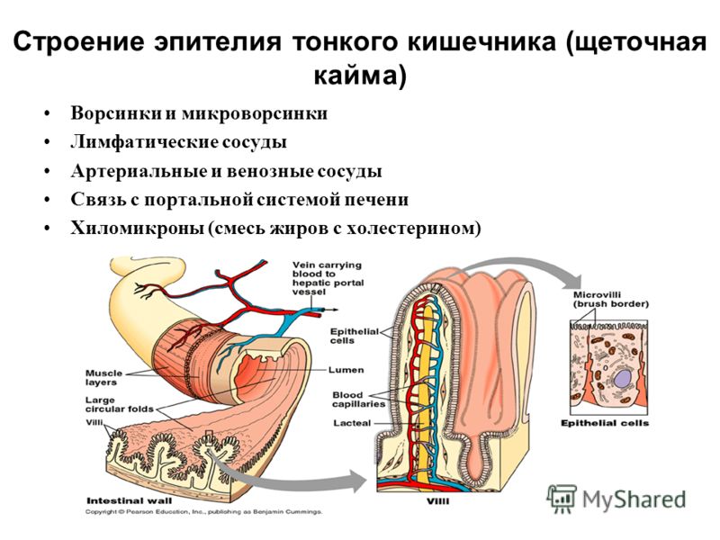 slide_62.jpg