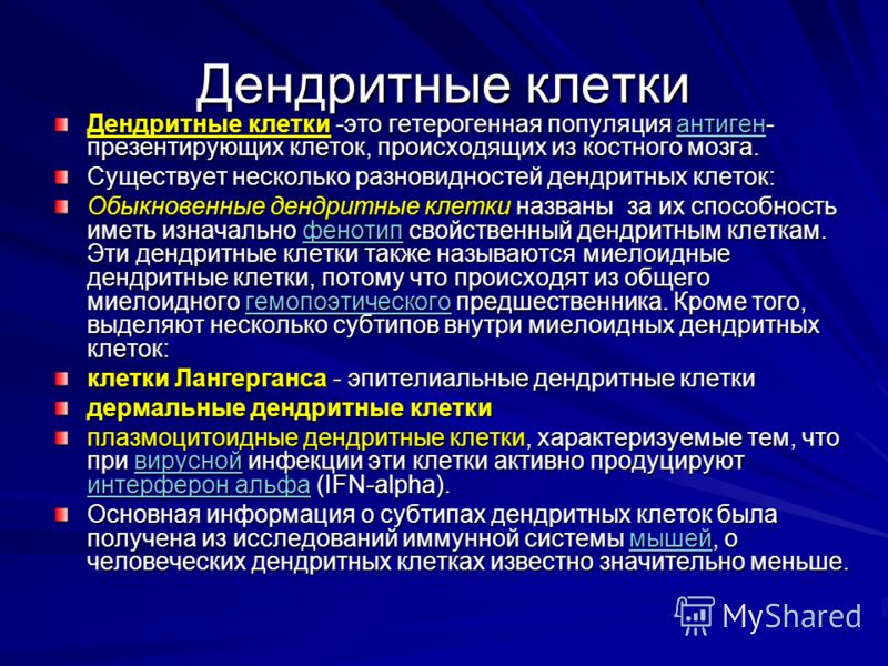 Жк мчс фон казань последние новости