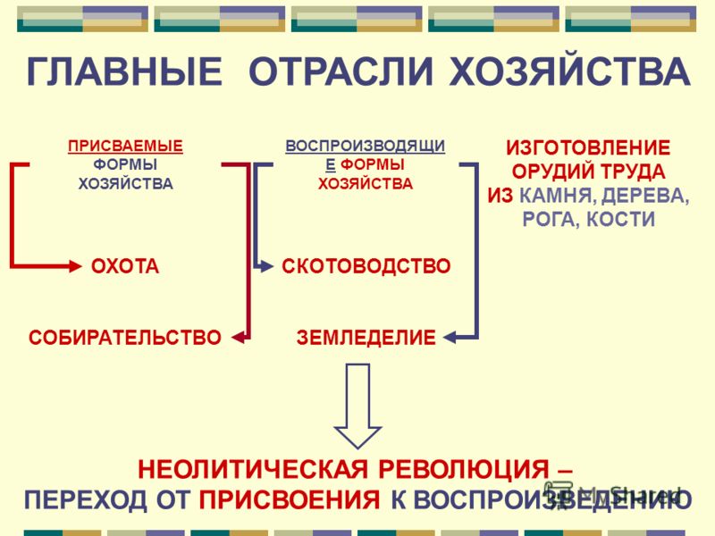 Неолитическая Революция Презентация Неолитическая Революция Презентация