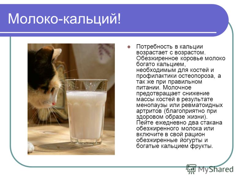 Презентация Правильное Питание Для Дошкольников Презентация Правильное Питание Для Дошкольников