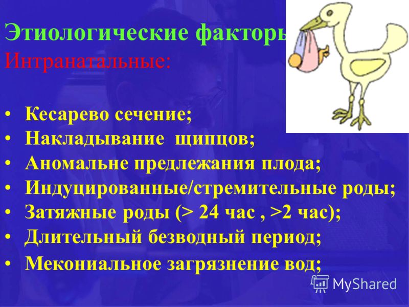 Легкие роды скачать бесплатно Легкие роды скачать бесплатно