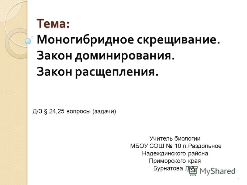 легкая форма анемии