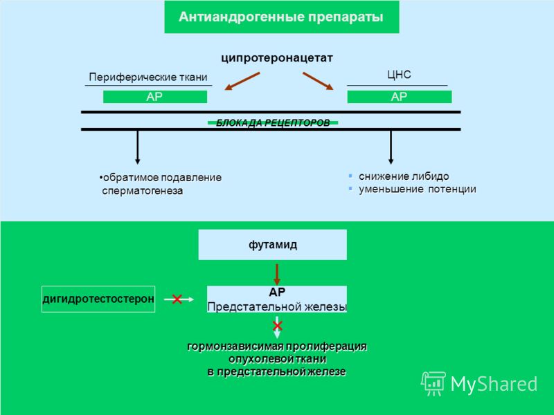 ципротеронацетат Периферические ткани ЦНС АР БЛОКАДА РЕЦЕПТОРОВ обратимое подавлениеобратимое подавление сперматогенеза сперматогенеза снижение либидо