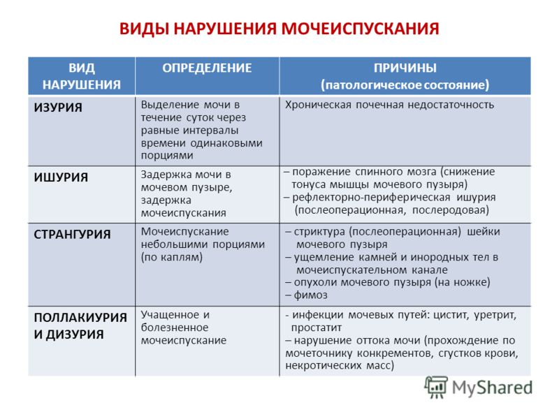 Простатит учащенное мочеиспускание Простатит учащенное мочеиспускание