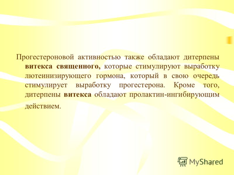 Бал-Харбор, где есть все новые фото Бал-Харбор, где есть все новые фото