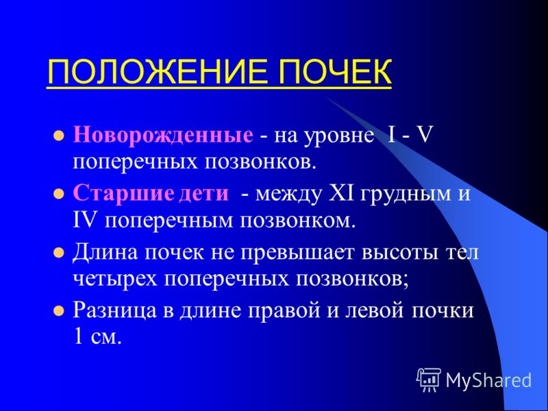 Посмотрите - Дистопия почки видео Смотреть - Дистопия почки видео