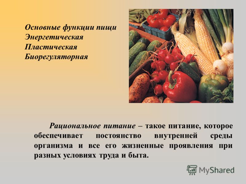 рациональное питание для похудения рациональное питание для похудения