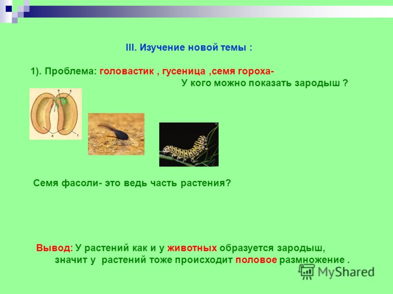 Фосфатирующий грунт реофлекс способ применения Фосфатирующий грунт реофлекс способ применения