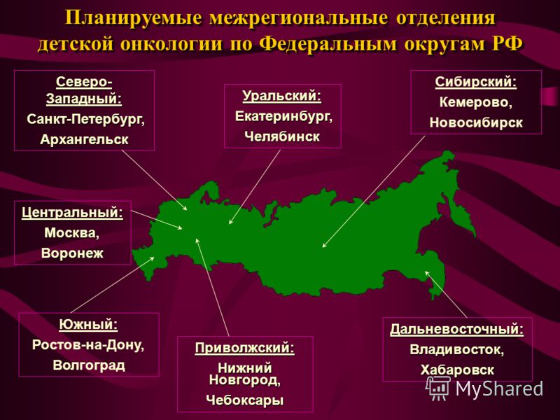федеральная программа похудения доктор борменталь федеральная программа похудения доктор борменталь