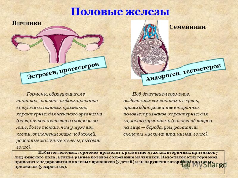 Почему у детей более высокий голос чем у взрослых 175