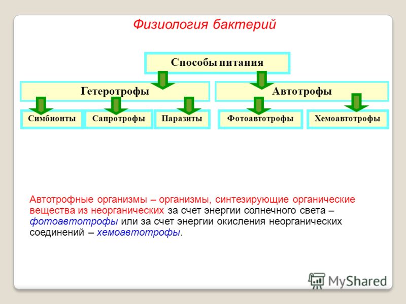 готовое питание для похудения купить готовое питание для похудения купить